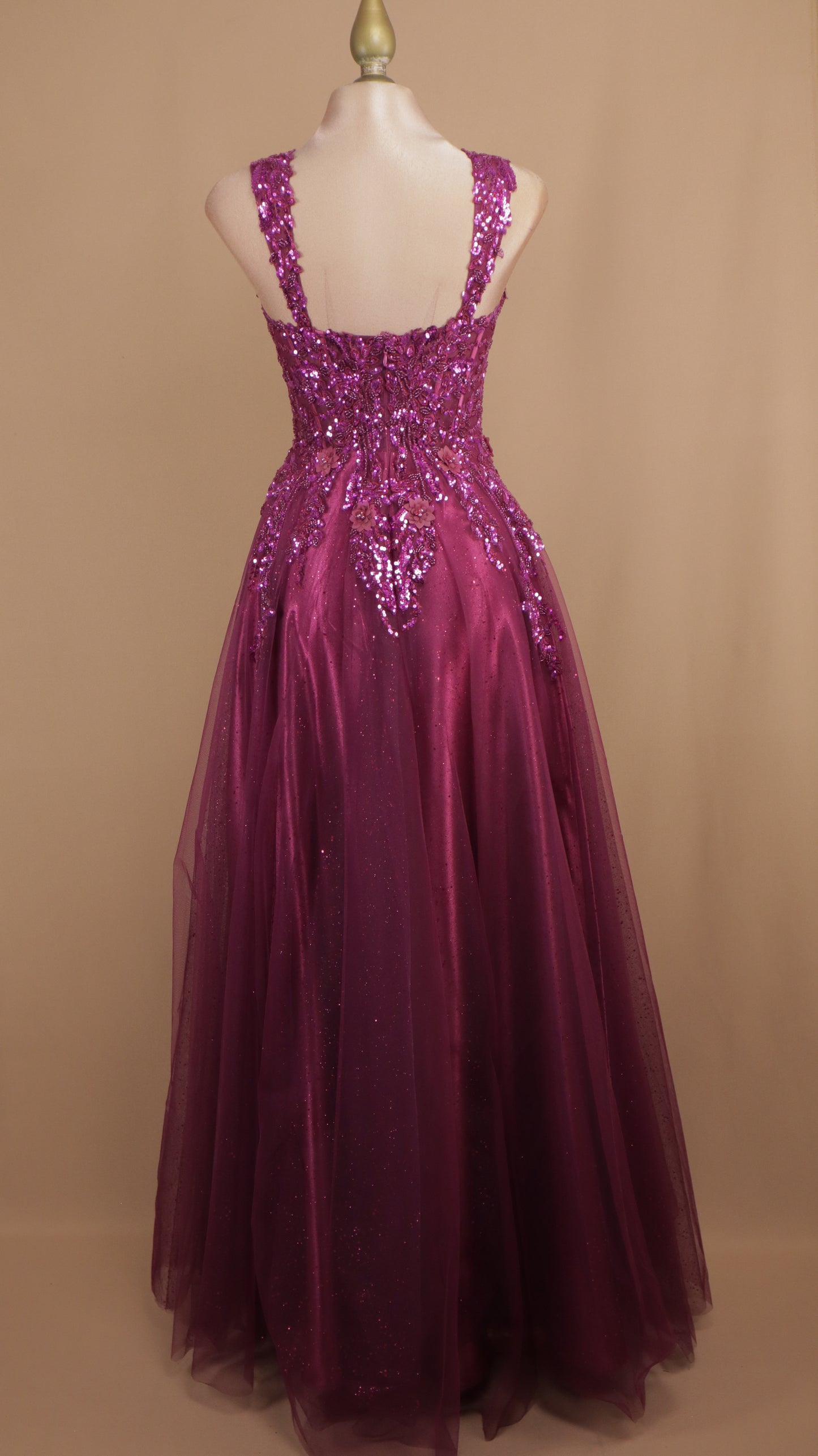 Vestido largo corte princesa de tull con aplicación