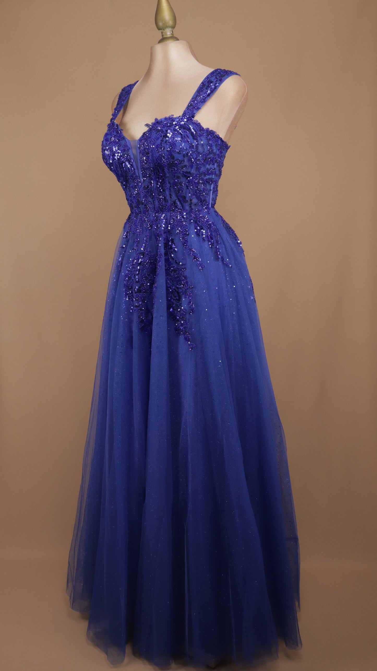 Vestido largo corte princesa de tull con aplicación