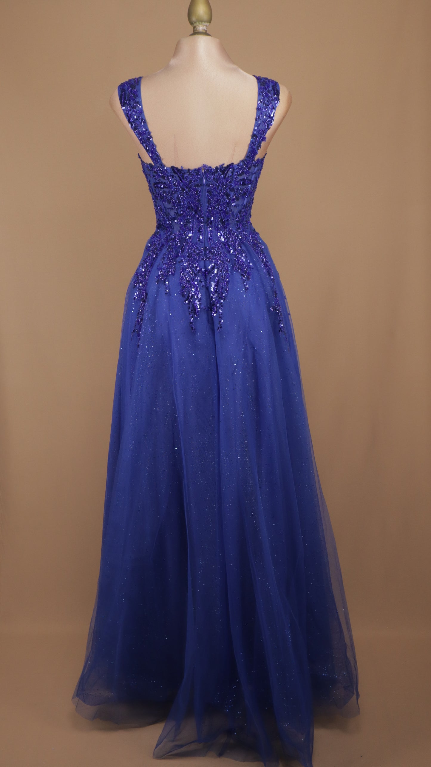 Vestido largo corte princesa de tull con aplicación