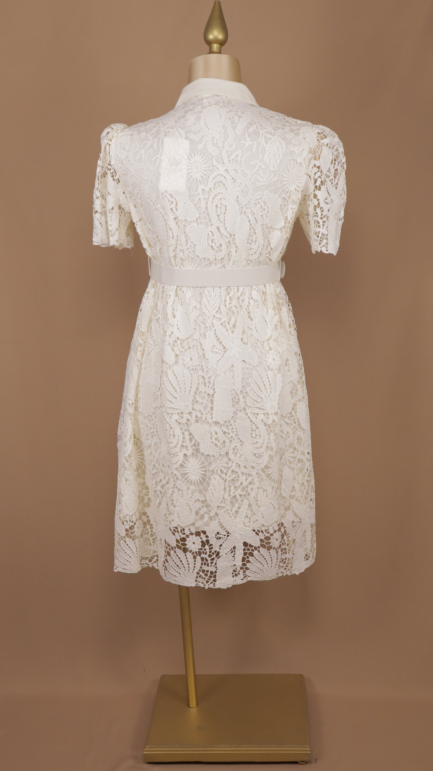Vestido corto plus size con cinto y encaje